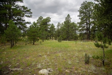 Presenting A Bar Ranch in Douglas County Colorado, a front range - photo 44