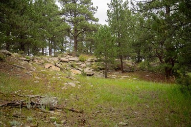 Presenting A Bar Ranch in Douglas County Colorado, a front range - photo 45