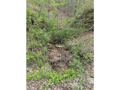 REDUCED: TAKE A LOOK AT THIS STEAL OF A DEAL...ATT: HUNTERS-$79 - photo 8