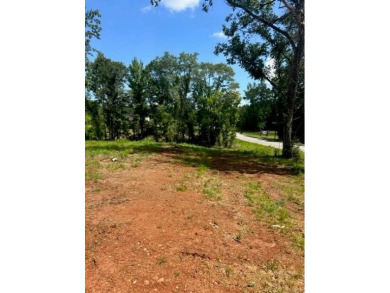 Opportunities are unlimited 12+/- acres that are unrestricted - photo 2