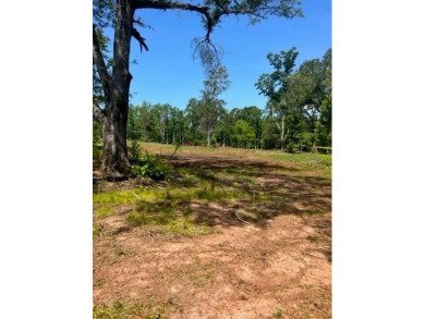 Opportunities are unlimited 12+/- acres that are unrestricted - photo 3