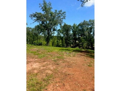 Opportunities are unlimited 12+/- acres that are unrestricted - photo 4