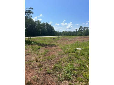 Opportunities are unlimited 12+/- acres that are unrestricted - photo 5