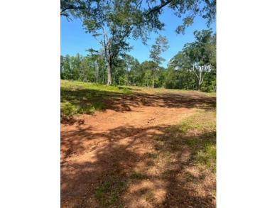 Opportunities are unlimited 12+/- acres that are unrestricted - photo 6