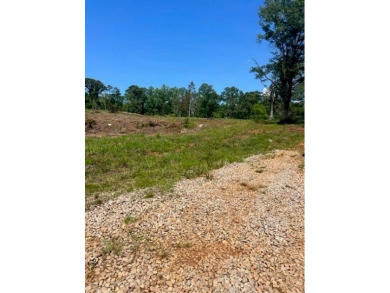 Opportunities are unlimited 12+/- acres that are unrestricted - photo 7