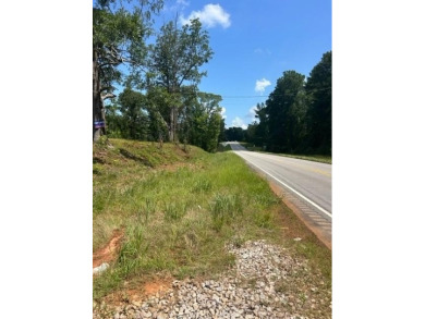 Opportunities are unlimited 12+/- acres that are unrestricted - photo 8