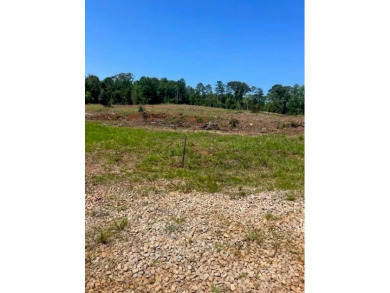 Opportunities are unlimited 12+/- acres that are unrestricted - photo 9