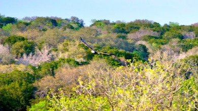 EAGLE POINT RANCH: A Texas Hill Country Legacy and rare - photo 21