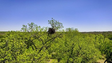 EAGLE POINT RANCH: A Texas Hill Country Legacy and rare - photo 22