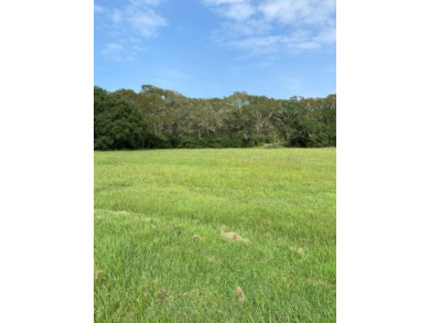 Tre Palacios River Lot For Sale in Blessing Texas