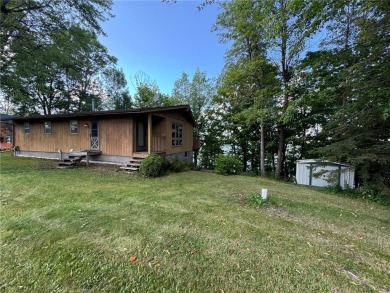 Lake Home For Sale in Windemere Twp, Minnesota