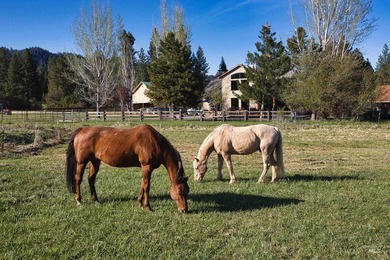 Peaceful country living in the heart of the mountains. This gem - photo 2