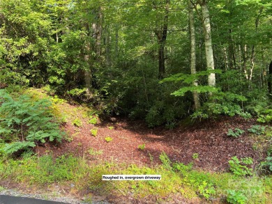 Catatoga Lake Lot For Sale in Lake Toxaway North Carolina