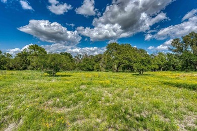 Rare opportunity to own a gorgeous 5+acre estate lot in the - photo 12