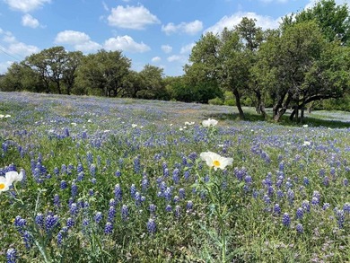 Rare opportunity to own a gorgeous 5+acre estate lot in the - photo 15