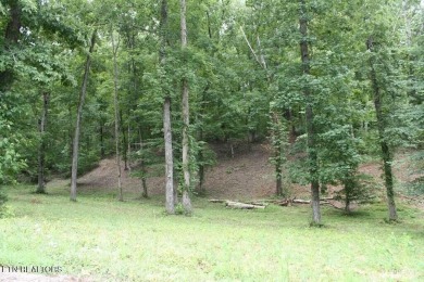 Lake Lot For Sale in Dandridge, Tennessee