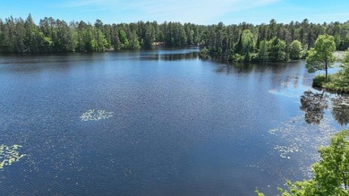 KILLARNEY LAKE PRIVACY. Gorgeous custom-built 3 bedroom, 2.5 - photo 40