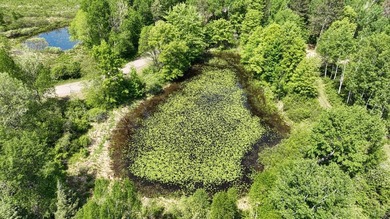 KILLARNEY LAKE PRIVACY. Gorgeous custom-built 3 bedroom, 2.5 - photo 41