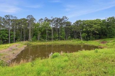 What a unique property! Situated on 2.24 acres just outside the - photo 43