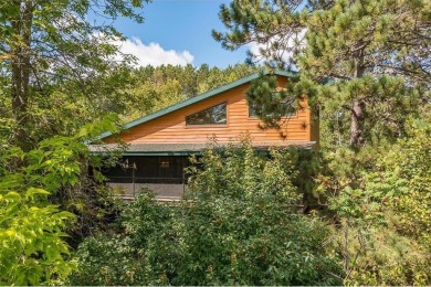 Lake Home For Sale in Long Lake Twp, Minnesota