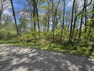 2 wooded lots that abuts additional Private Community Recreation - photo 1