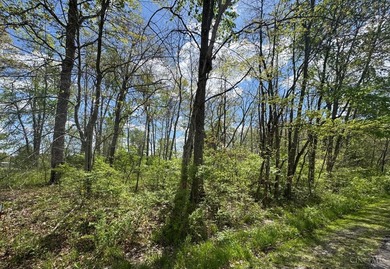 2 wooded lots that abuts additional Private Community Recreation - photo 2