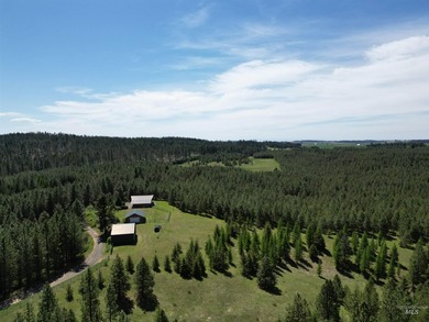 A Private Paradise on 80 Acres Just 18 miles from the heart of - photo 10