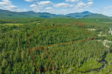 Chubb River Lake Acreage For Sale in Lake Placid New York