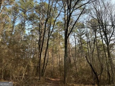 (private lake, pond, creek) Acreage For Sale in Carrollton Georgia