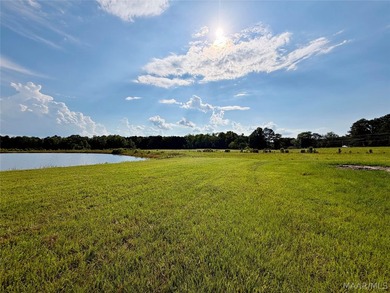 Looking for acreage and a new custom-built home? This scenic - photo 12