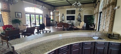LAKEFRONT VIEW WITH $$ NUMEROUS UPGRADES $$ TWO COMMUNITY BOAT - photo 47
