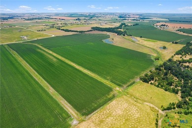 Lake Acreage For Sale in Taylor, Texas