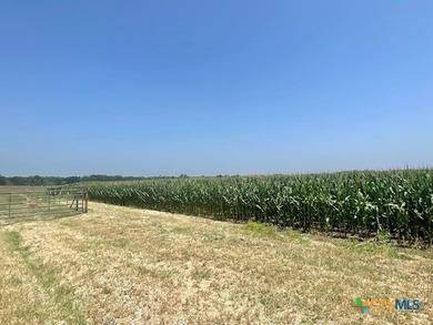 Situated in ever growing Williamson County, Texas, this 114-acre - photo 10