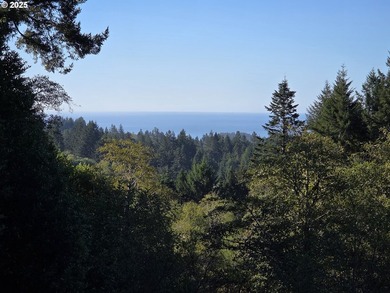 Bright and sunny ocean and forest view home on over 2 acres of - photo 3