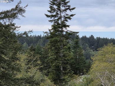 Bright and sunny ocean and forest view home on over 2 acres of - photo 4