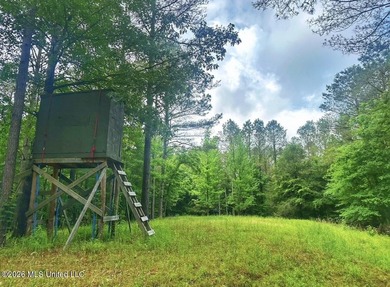 This 93+/- acre Holmes County property is uniquely laid out in - photo 11