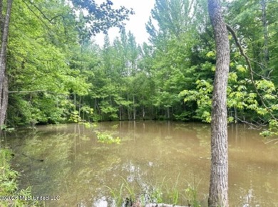 This 93+/- acre Holmes County property is uniquely laid out in - photo 13