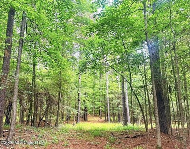 This 93+/- acre Holmes County property is uniquely laid out in - photo 14