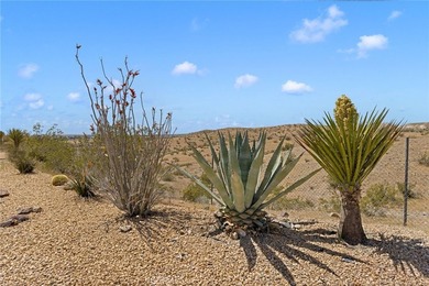 16222 Wild Rd - photo 56