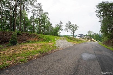 Build your dream home on this stunning 1.10-acre waterfront lot - photo 6