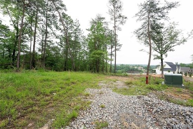 Build your dream home on this stunning 1.10-acre waterfront lot - photo 7