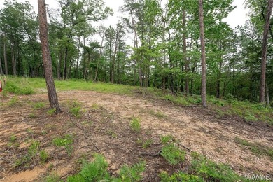 Build your dream home on this stunning 1.10-acre waterfront lot - photo 8