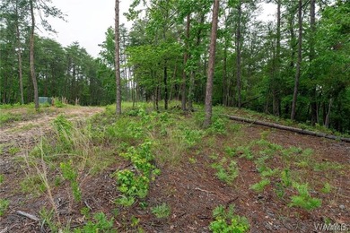 Build your dream home on this stunning 1.10-acre waterfront lot - photo 9