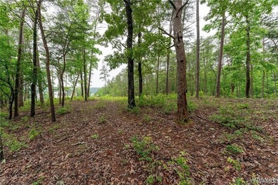 Build your dream home on this stunning 1.10-acre waterfront lot - photo 10
