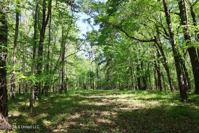 Nestled in the heart of Claiborne County, this exceptional - photo 12