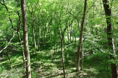 Nestled in the heart of Claiborne County, this exceptional - photo 13
