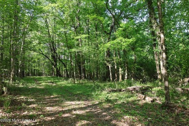 Nestled in the heart of Claiborne County, this exceptional - photo 14