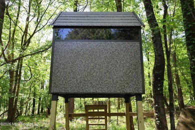Nestled in the heart of Claiborne County, this exceptional - photo 15