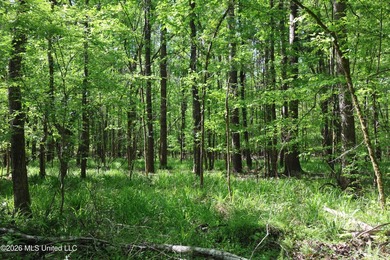 Nestled in the heart of Claiborne County, this exceptional - photo 18