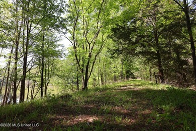 Nestled in the heart of Claiborne County, this exceptional - photo 19
